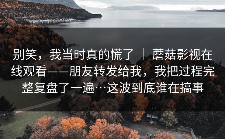 别笑，我当时真的慌了 ｜ 蘑菇影视在线观看——朋友转发给我，我把过程完整复盘了一遍…这波到底谁在搞事