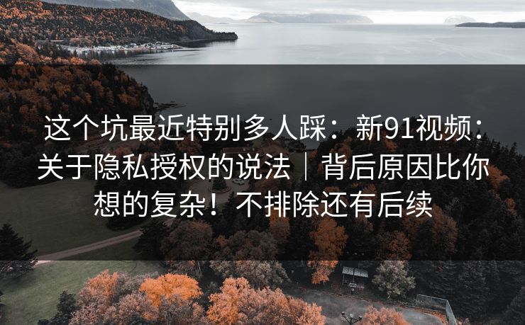 这个坑最近特别多人踩:新91视频:关于隐私授权的说法|背后原因比你想的复杂!不排除还有后续 这个坑最近特别多人踩:新91视频:关于隐私授权的说法|背后原因比你想的复杂!不排除还有后续